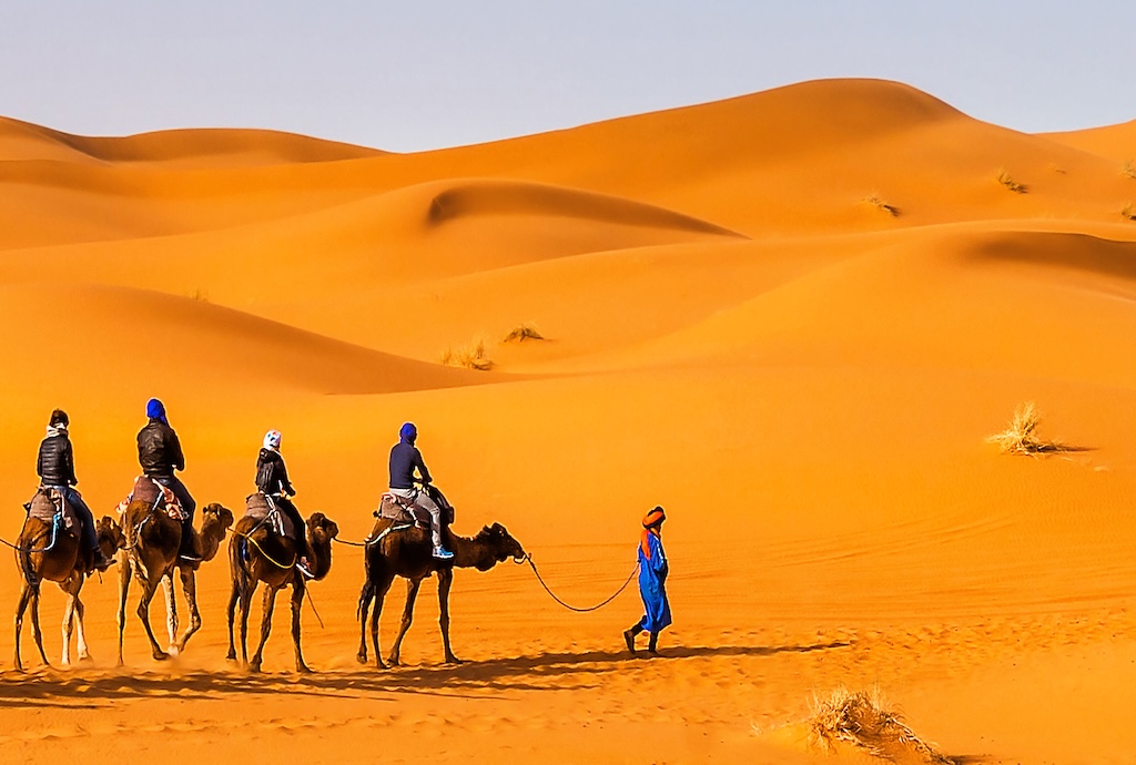 100台限定品★外幕2枚　Field SAHARA×Nature Arts Morocco Sahara Adventures | 9‑Day Private Desert Journey