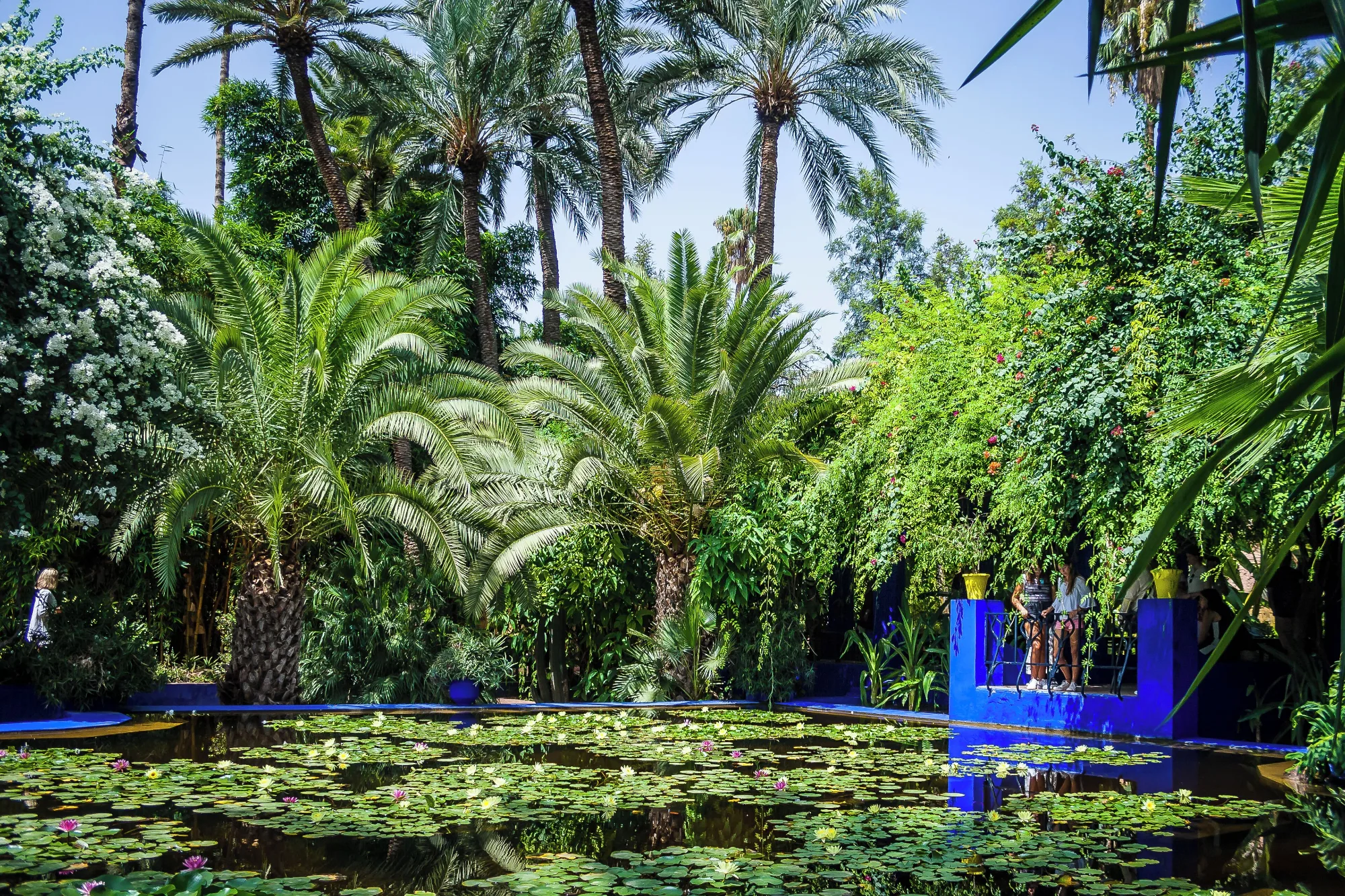Jardin Majorelle, Marrakech — photo 4