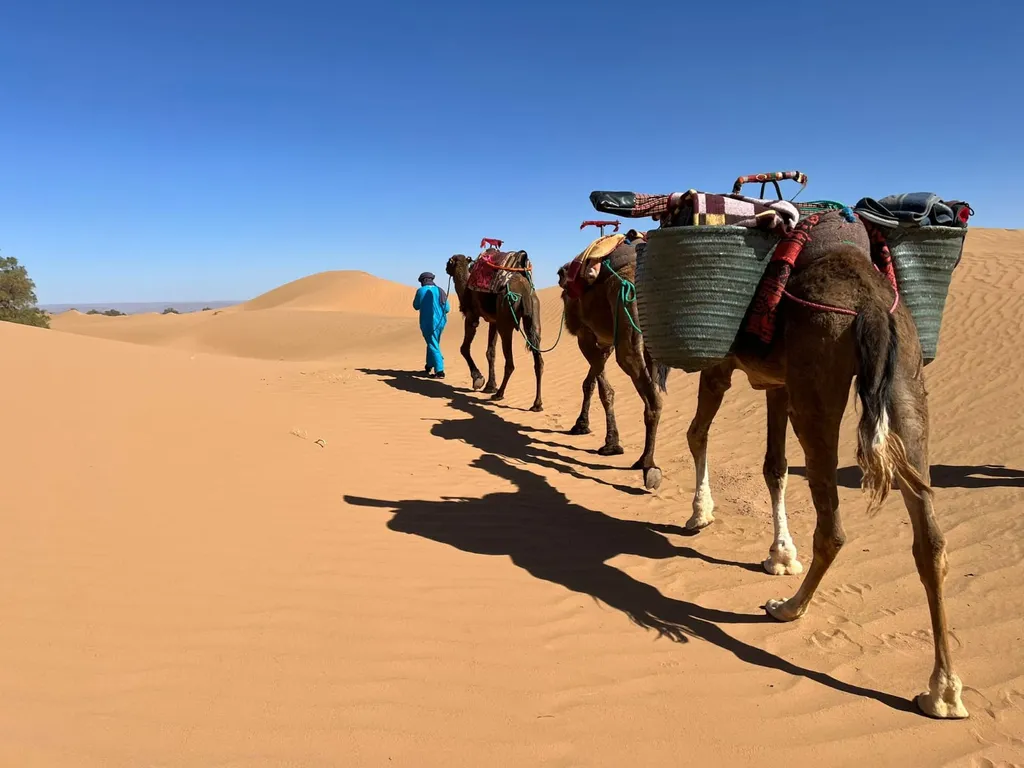 Merzouga Dunes, Merzouga — photo 5