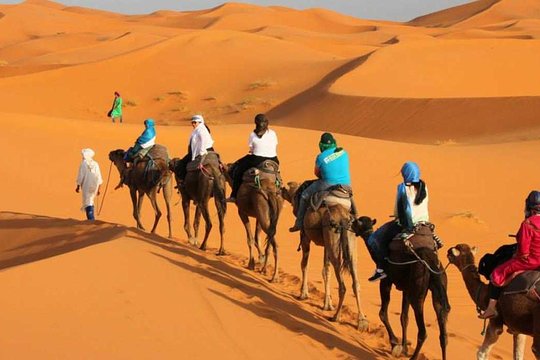 Merzouga Dunes, Merzouga — photo 3