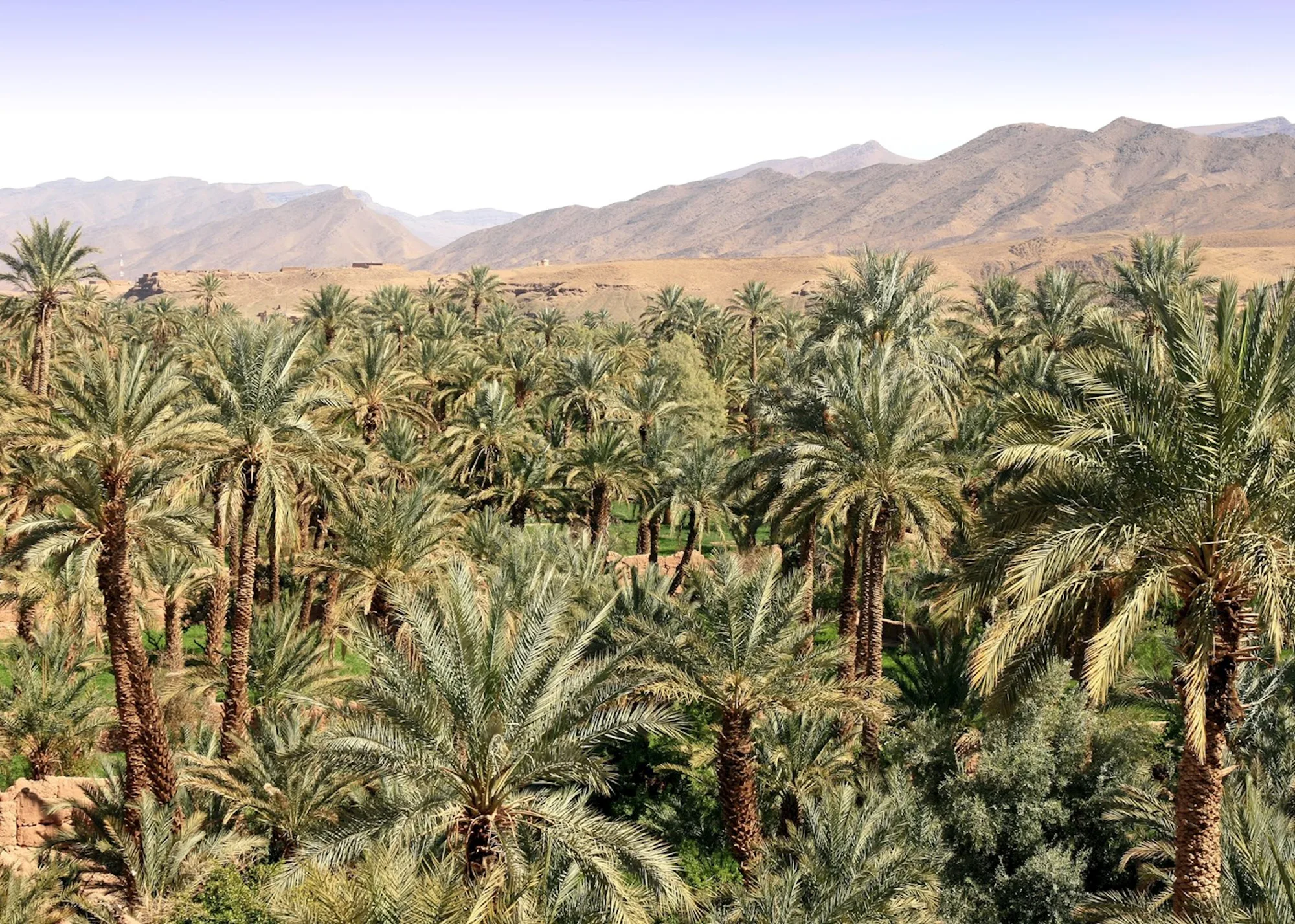 Draa Valley, Agdz — photo 6