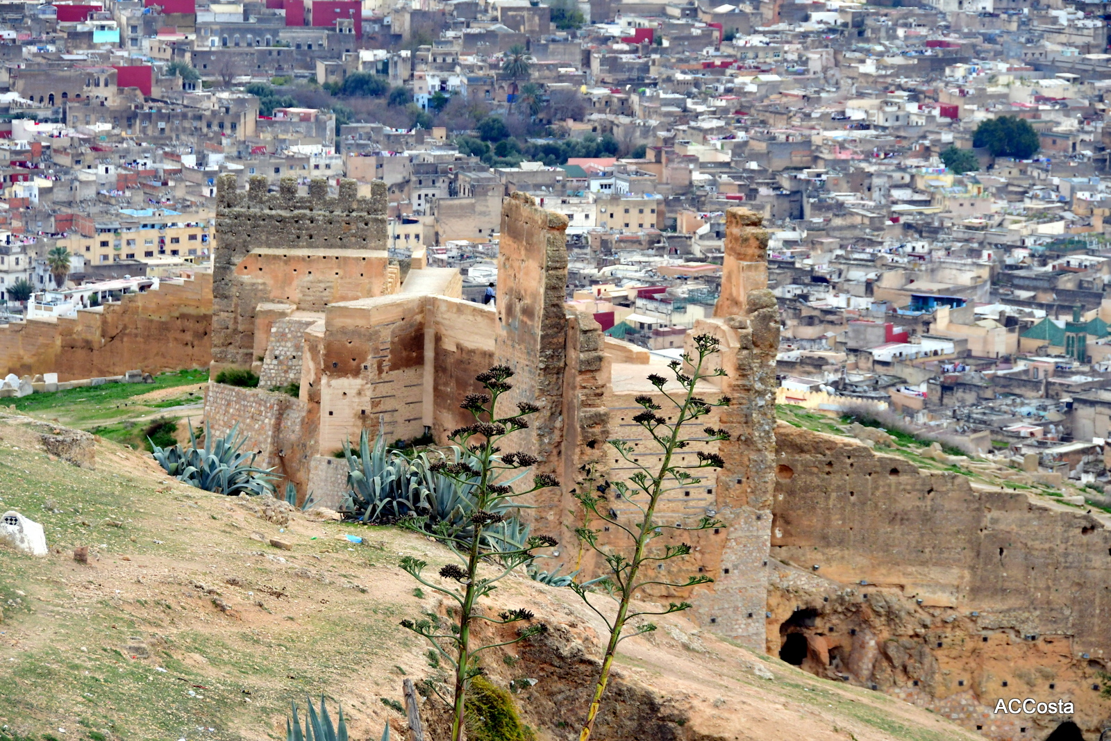 Marinid Tombs, Fes — photo 2