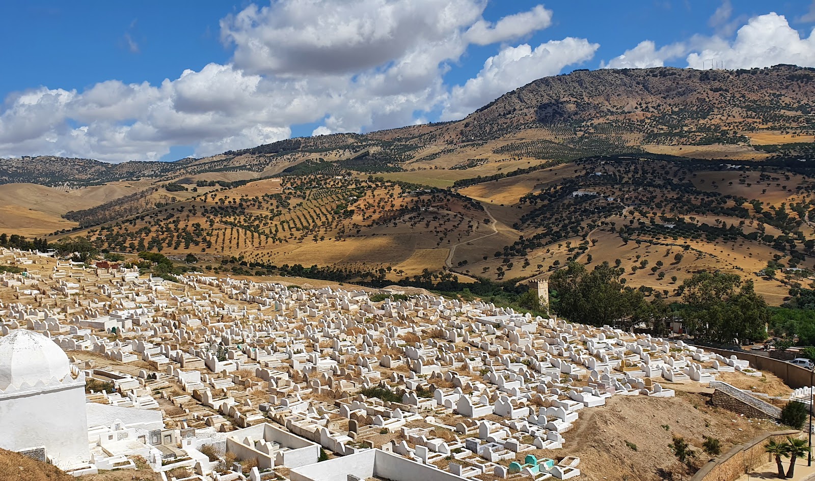 Marinid Tombs, Fes — photo 3