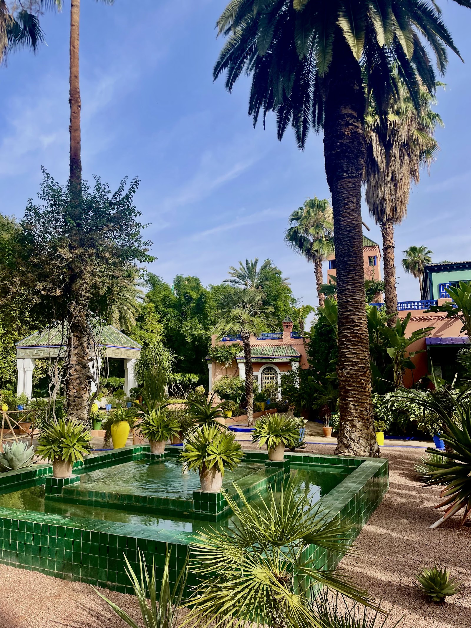 Jardin Majorelle — photograph