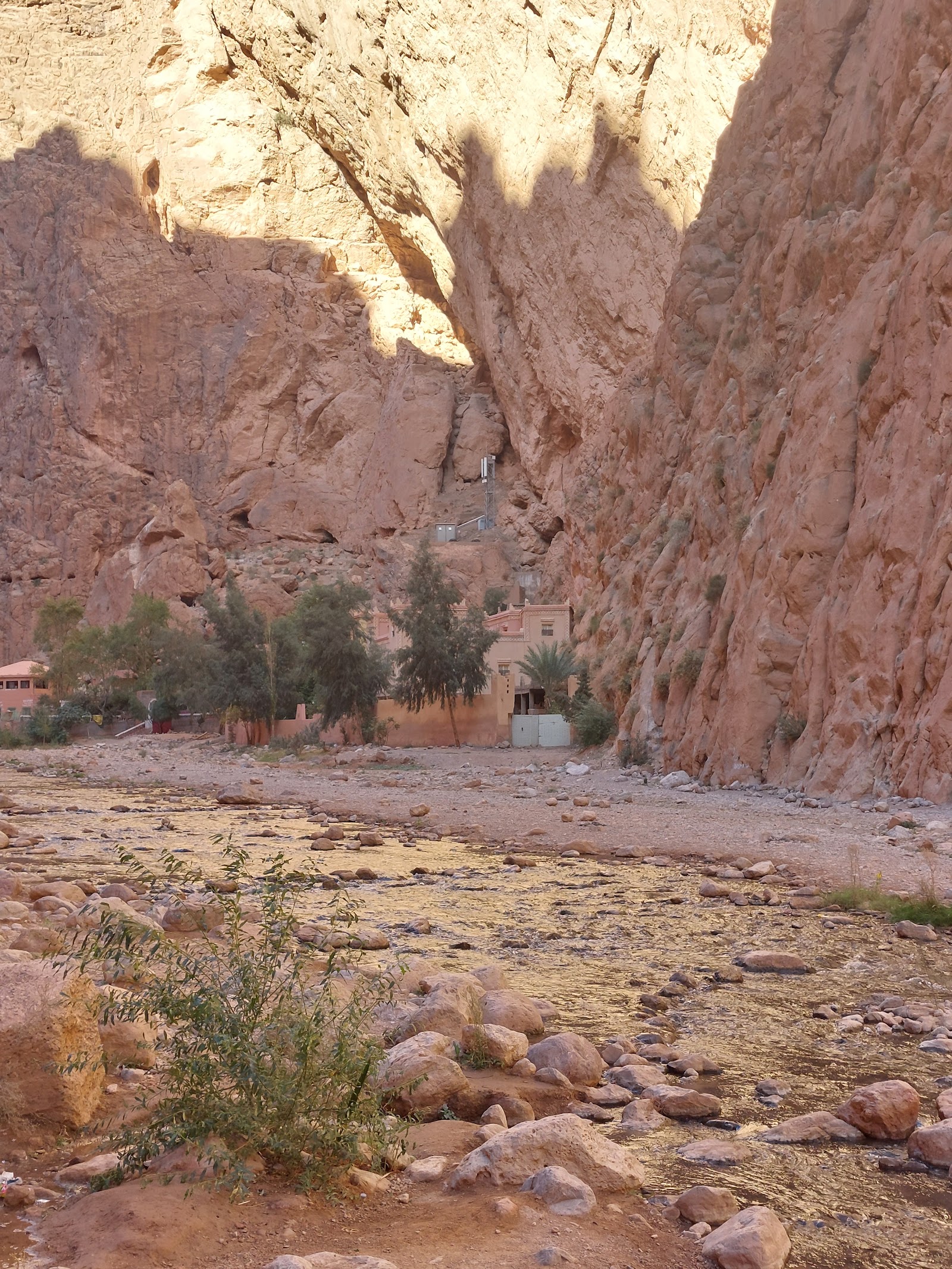 Todgha Gorge, Tinghir — photo 5