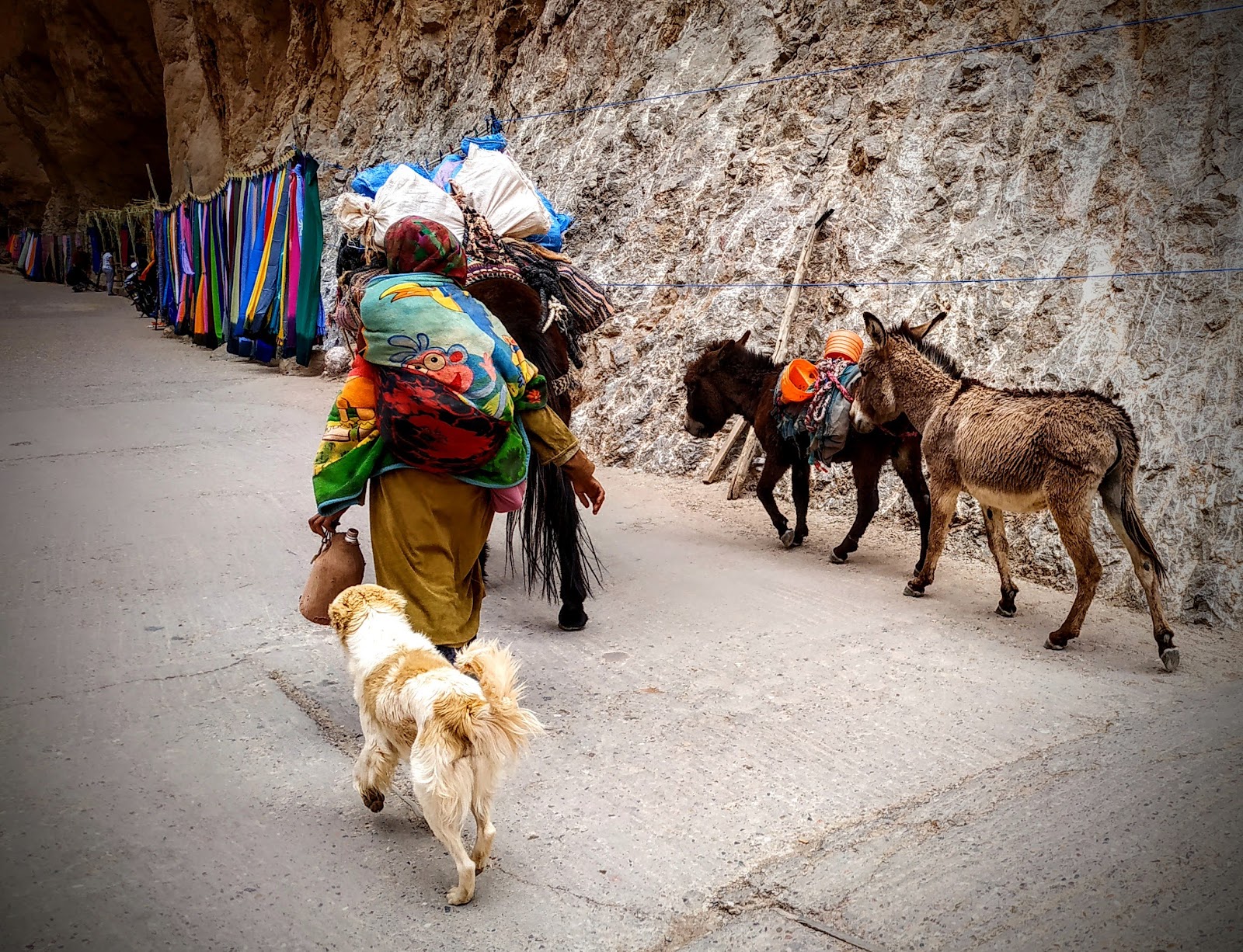 Todgha Gorge, Tinghir — photo 8
