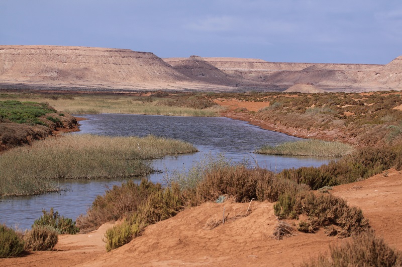 Draa Valley, Agdz — photo 5