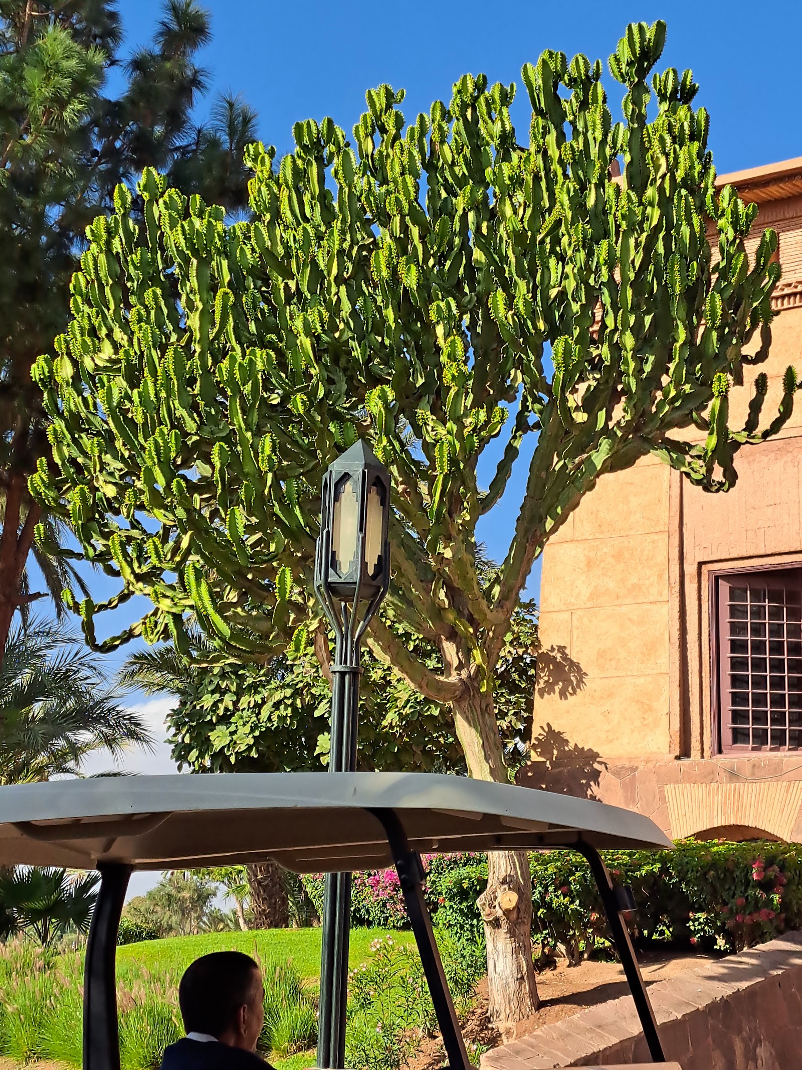 Golf Marrakech Amelkis, Marrakech — photo 7