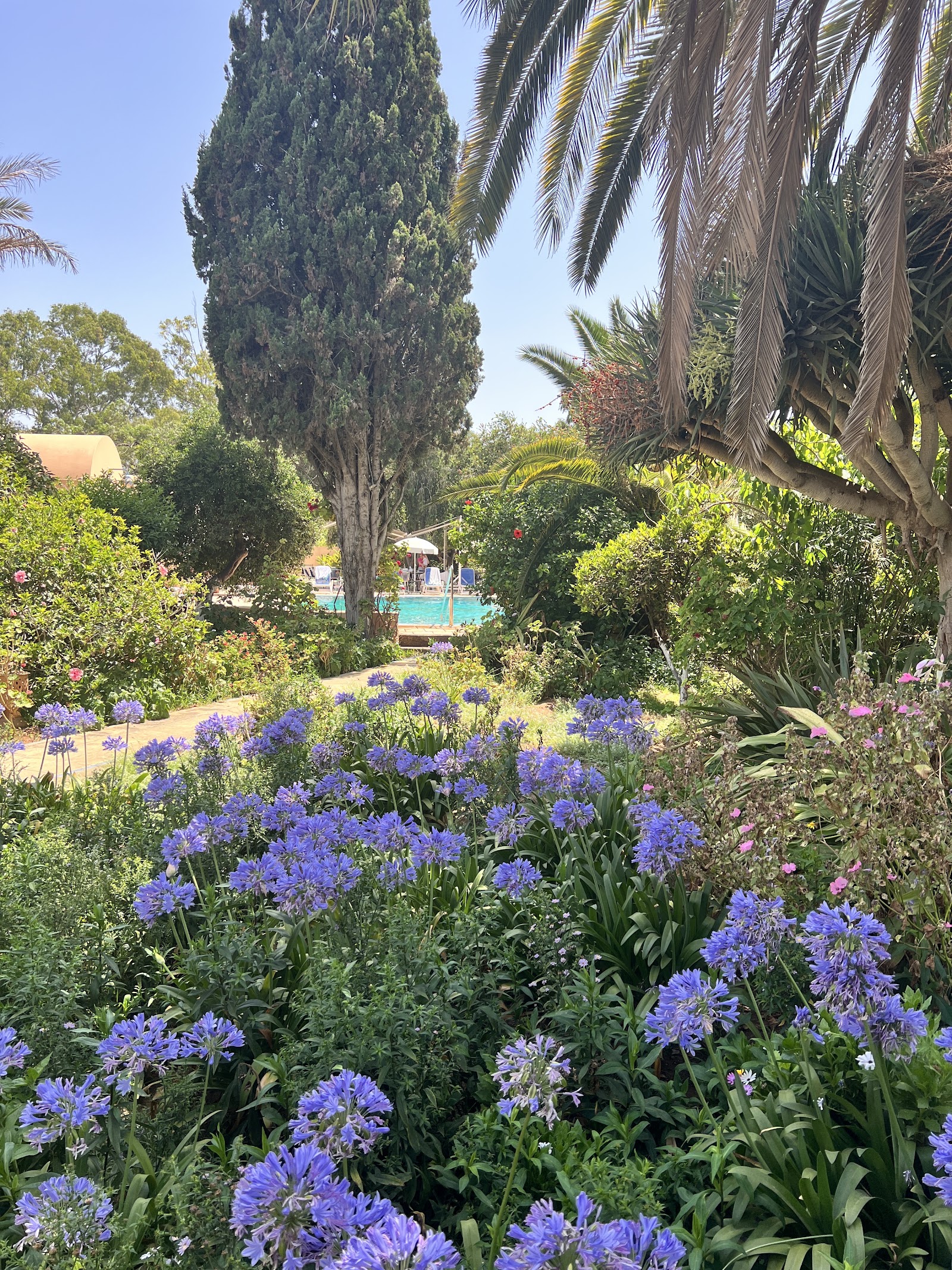 Villa Mandarine, Rabat — photo 5