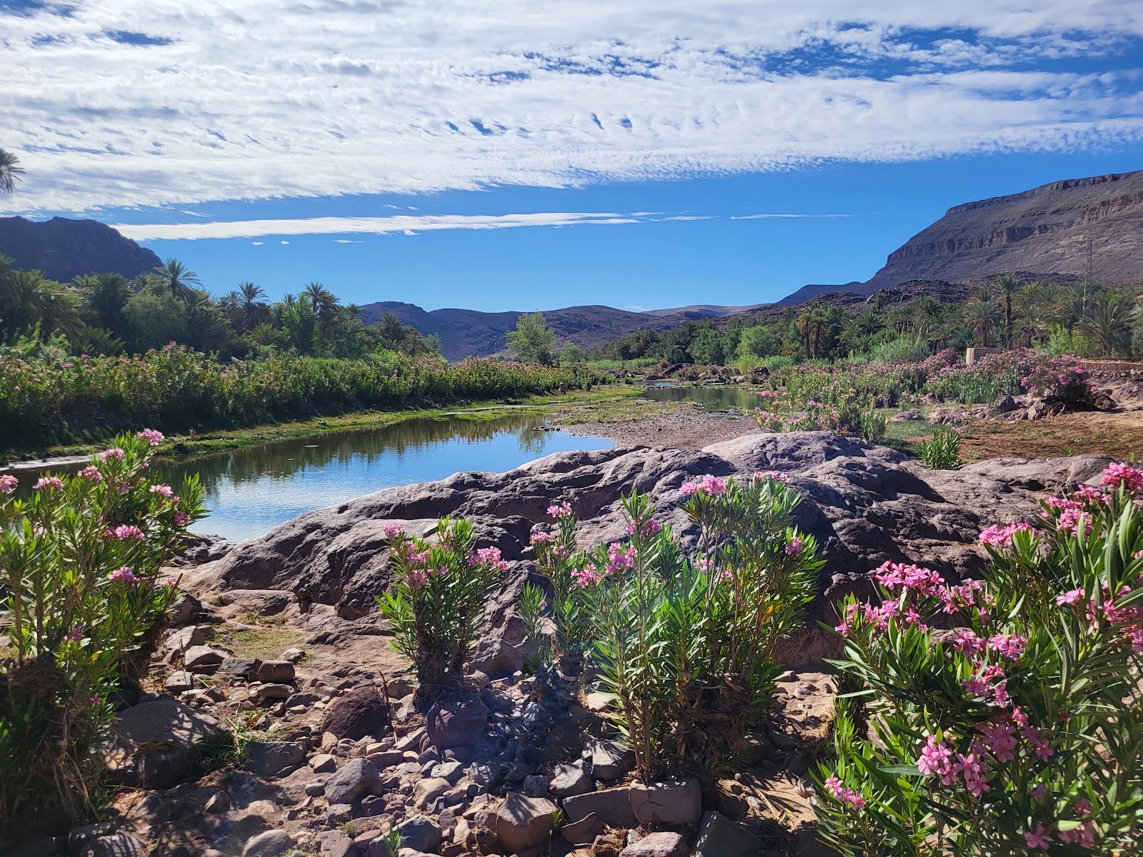 Oasis de Fint, Ouarzazate — photo 8