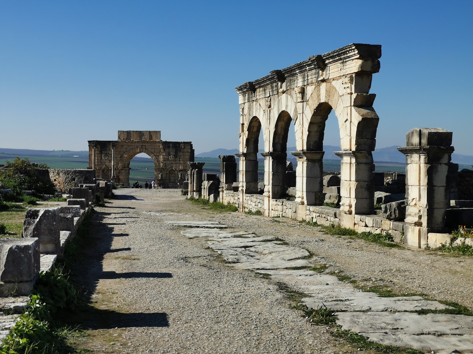 Site Archéologique de Volubilis