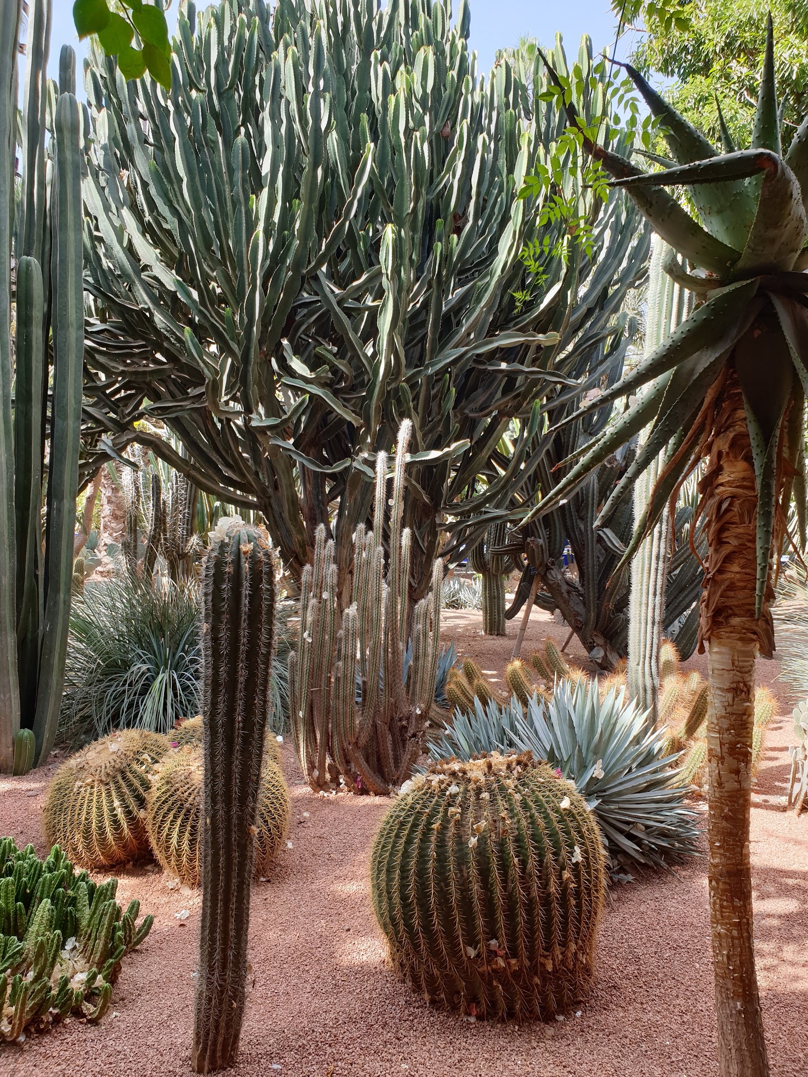 Yves Saint Laurent Museum, Marrakech — photo 4