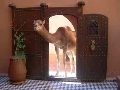 Kasbah Ellouze, Ait Ben Haddou — photo 5