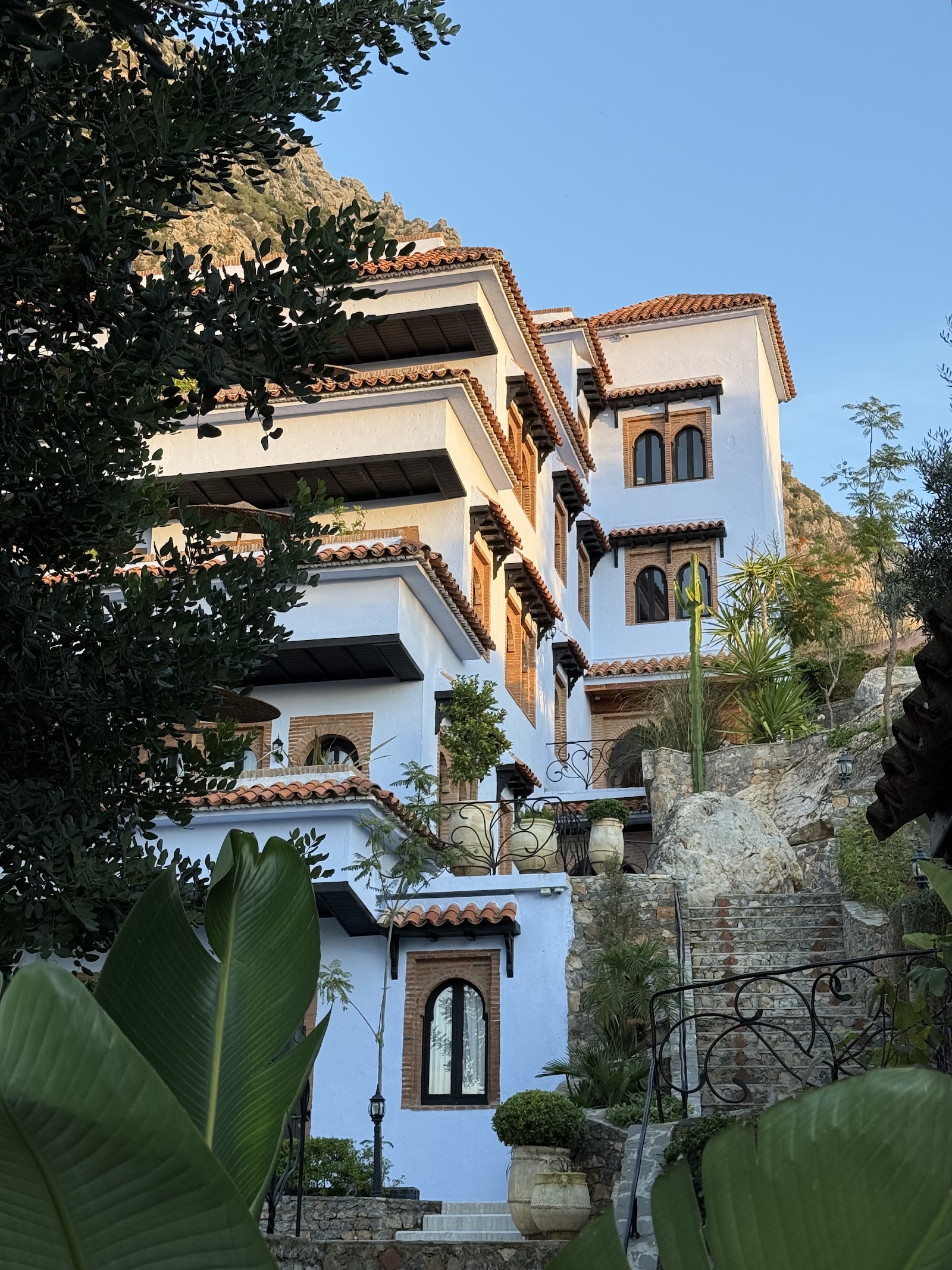 Dar Jasmine Hotel, Chefchaouen — photo 7