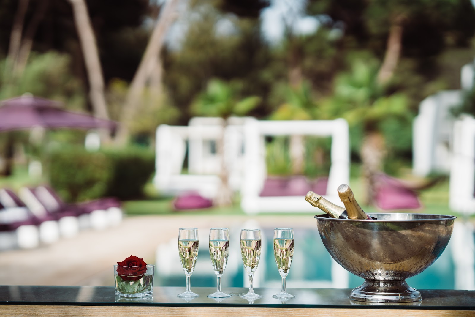 Sofitel Rabat Jardin des Roses, Rabat — photo 7