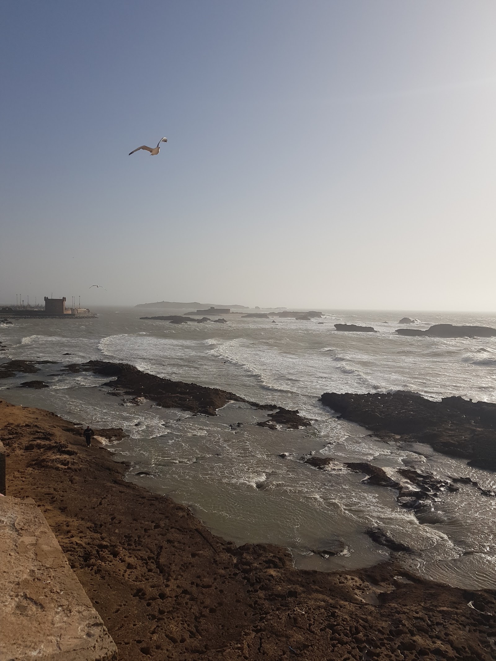 Skala de la Ville, Essaouira — photo 4
