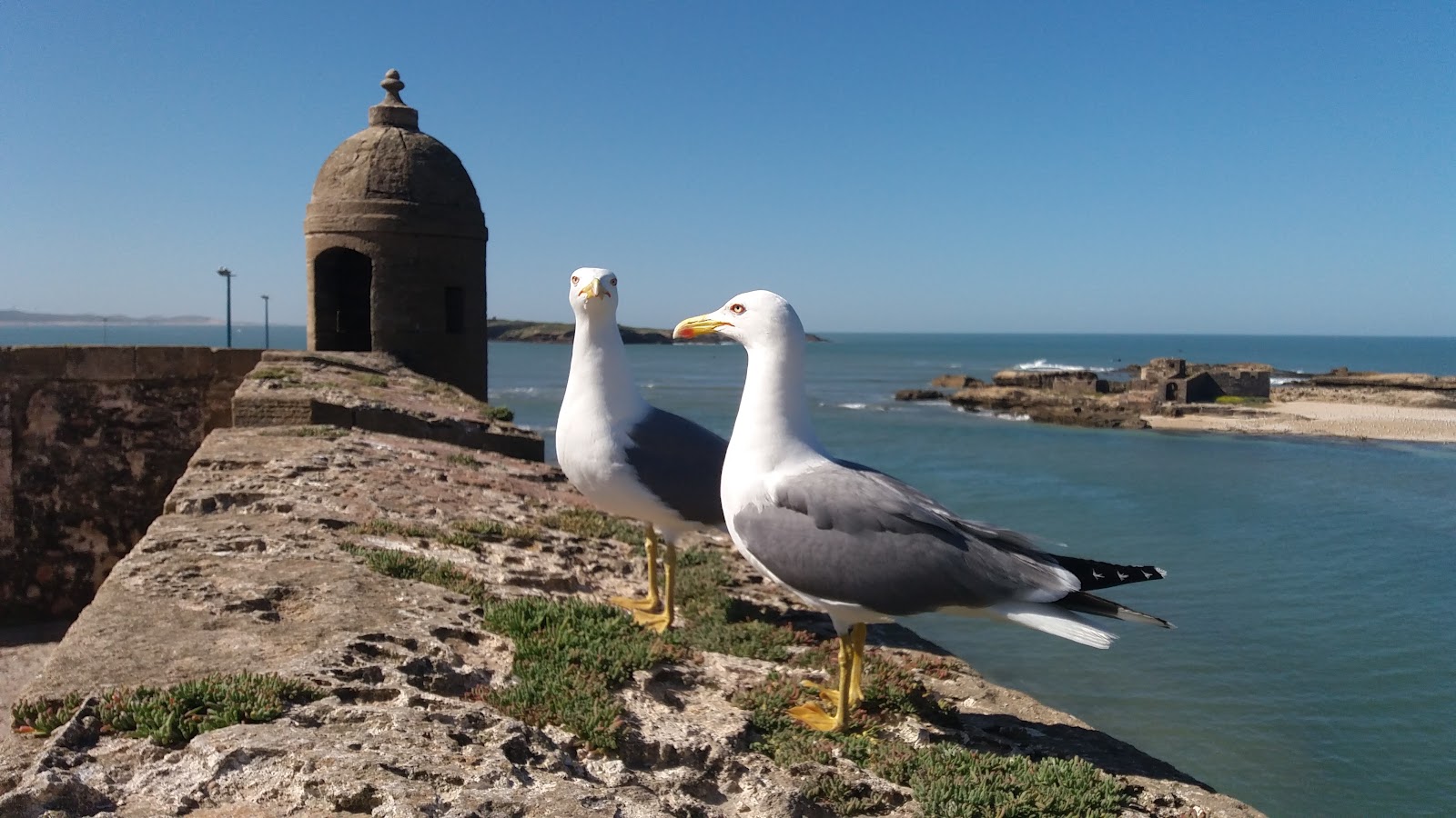 Horloge d'Essaouira, Essaouira — photo 8