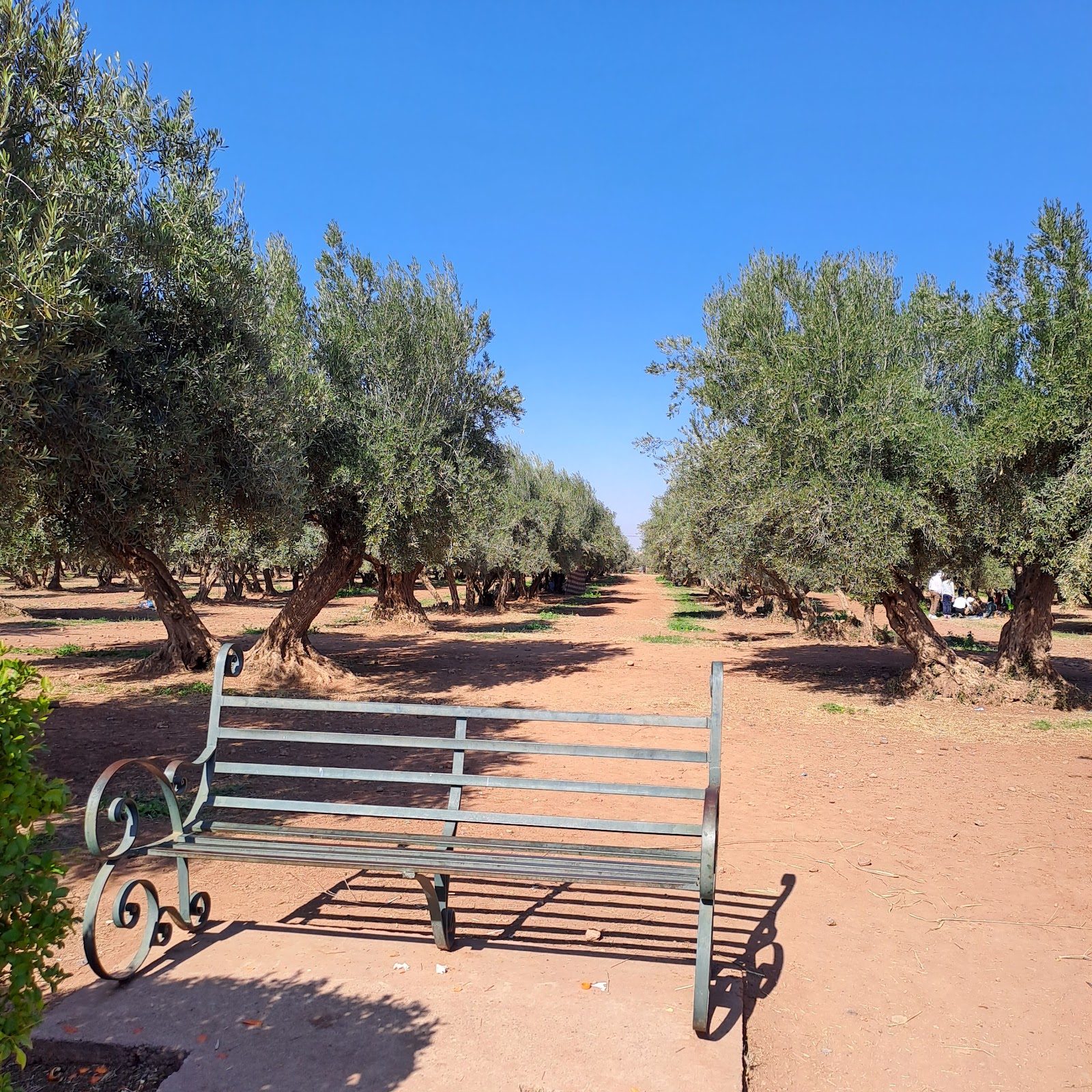 Menara Gardens, Marrakech — photo 4