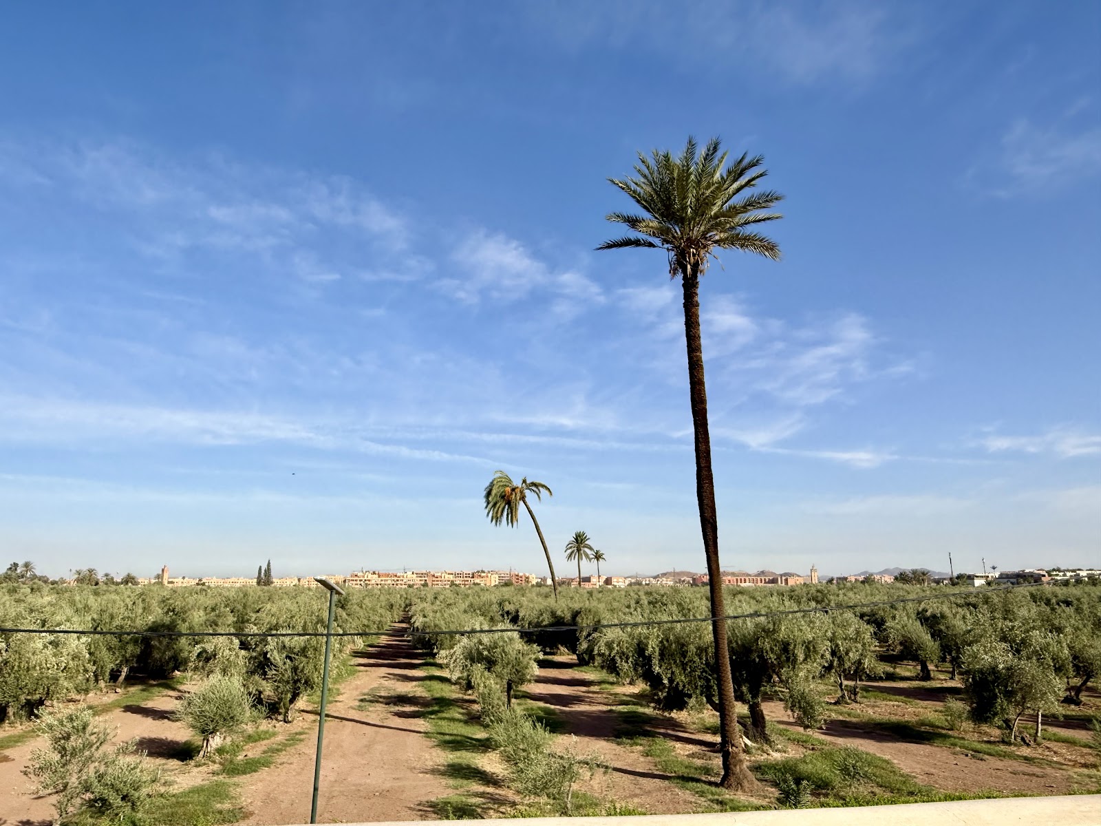 Menara Gardens, Marrakech — photo 8