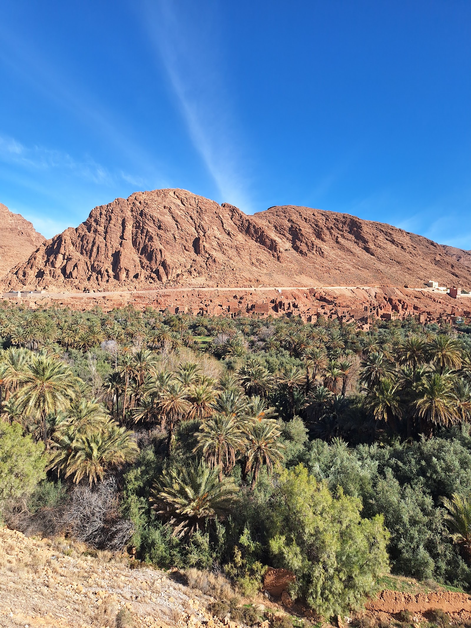 Dadès Gorges, Dades Gorge — photo 7