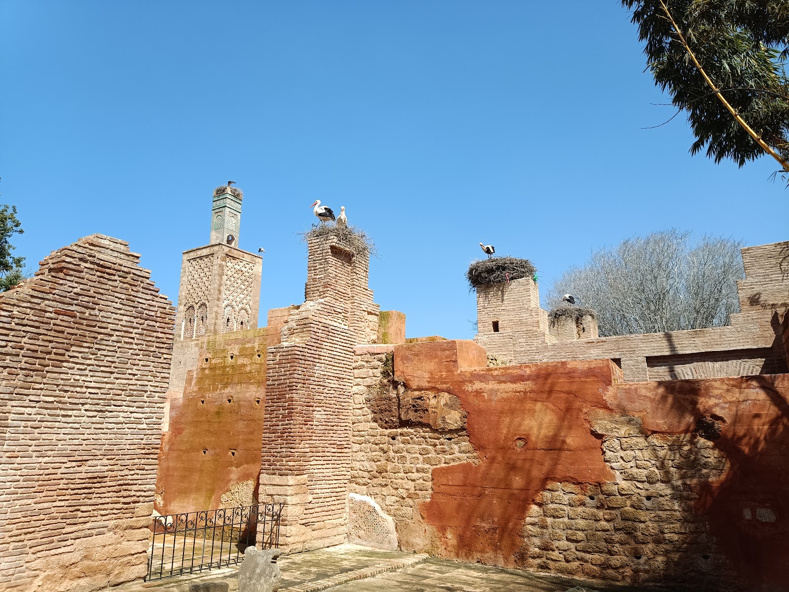 Chellah Castle, Rabat — photo 6