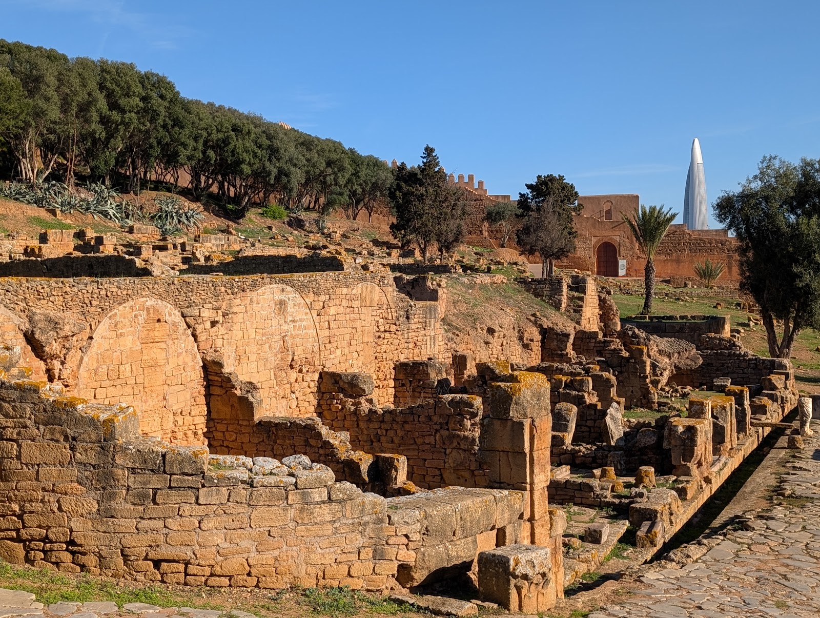Chellah Castle, Rabat — photo 7