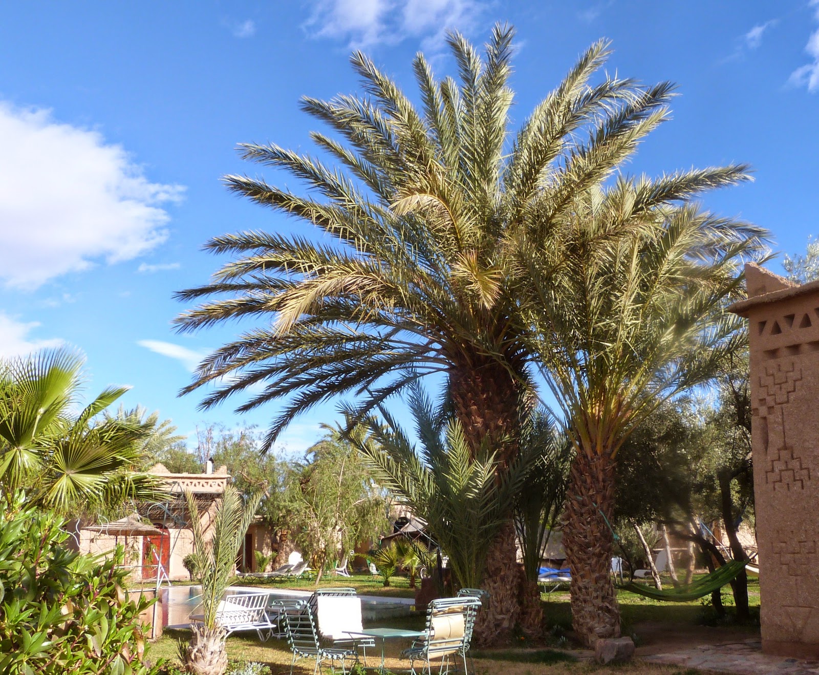 Sawadi Ecolodge, Skoura — photo 8
